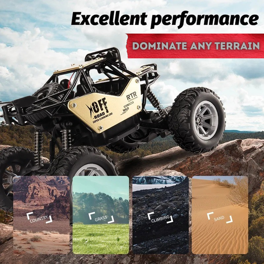 Lifted Off-Road RC Bruiser